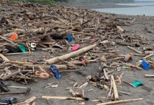 Фото - Туристы возмутились состоянием пляжей на Бали