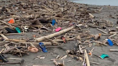Фото - Туристы возмутились состоянием пляжей на Бали